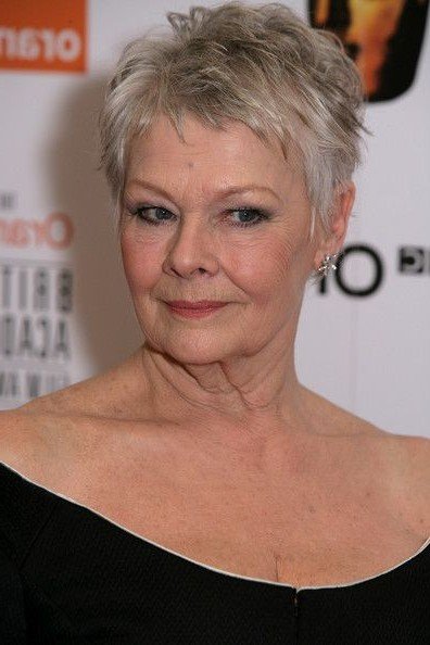 Classic Soft Grey Pixie Cut