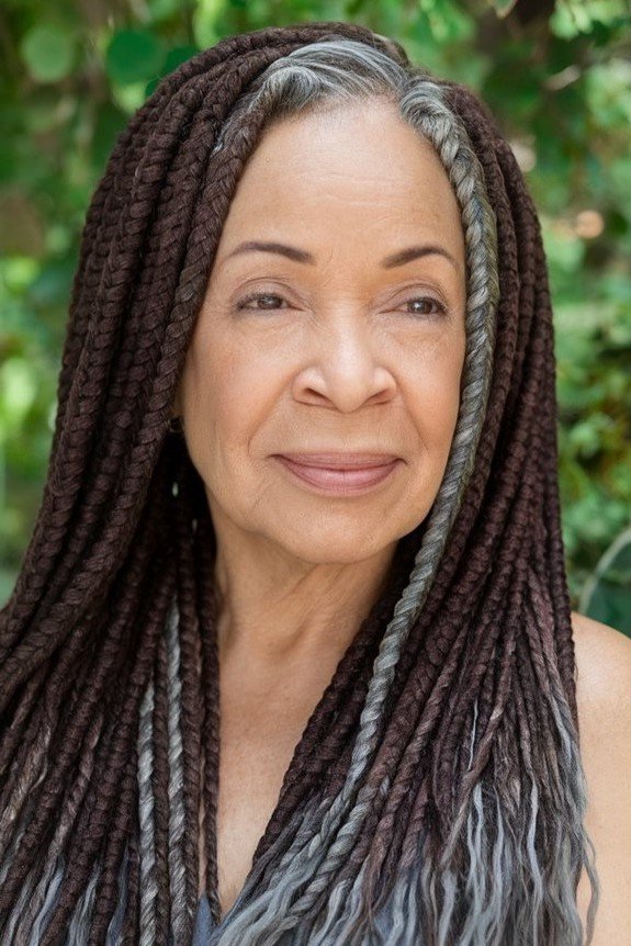 Long Braided Hairstyle with Silver Accents
