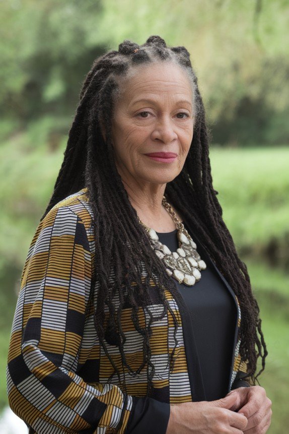 Long Faux Locs Hairstyle