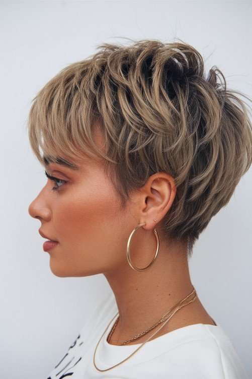 Voluminous Shaggy Pixie with Soft Bangs