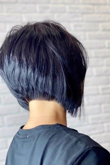 Edgy Black Stacked Pixie-Bob